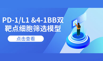 PD-1/L1 &4-1BB雙靶點(diǎn)細(xì)胞篩選模型 PD-1/L1 &4-1BB雙靶點(diǎn)細(xì)胞篩選模型